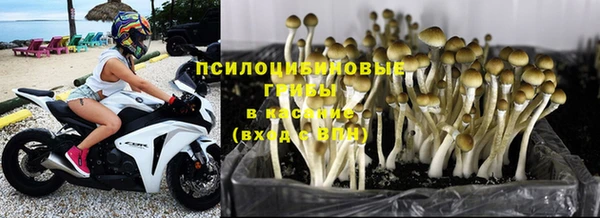 не бодяженный Армянск