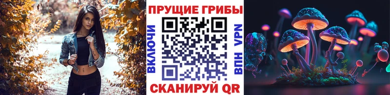 Псилоцибиновые грибы мицелий  купить наркоту  Удомля 